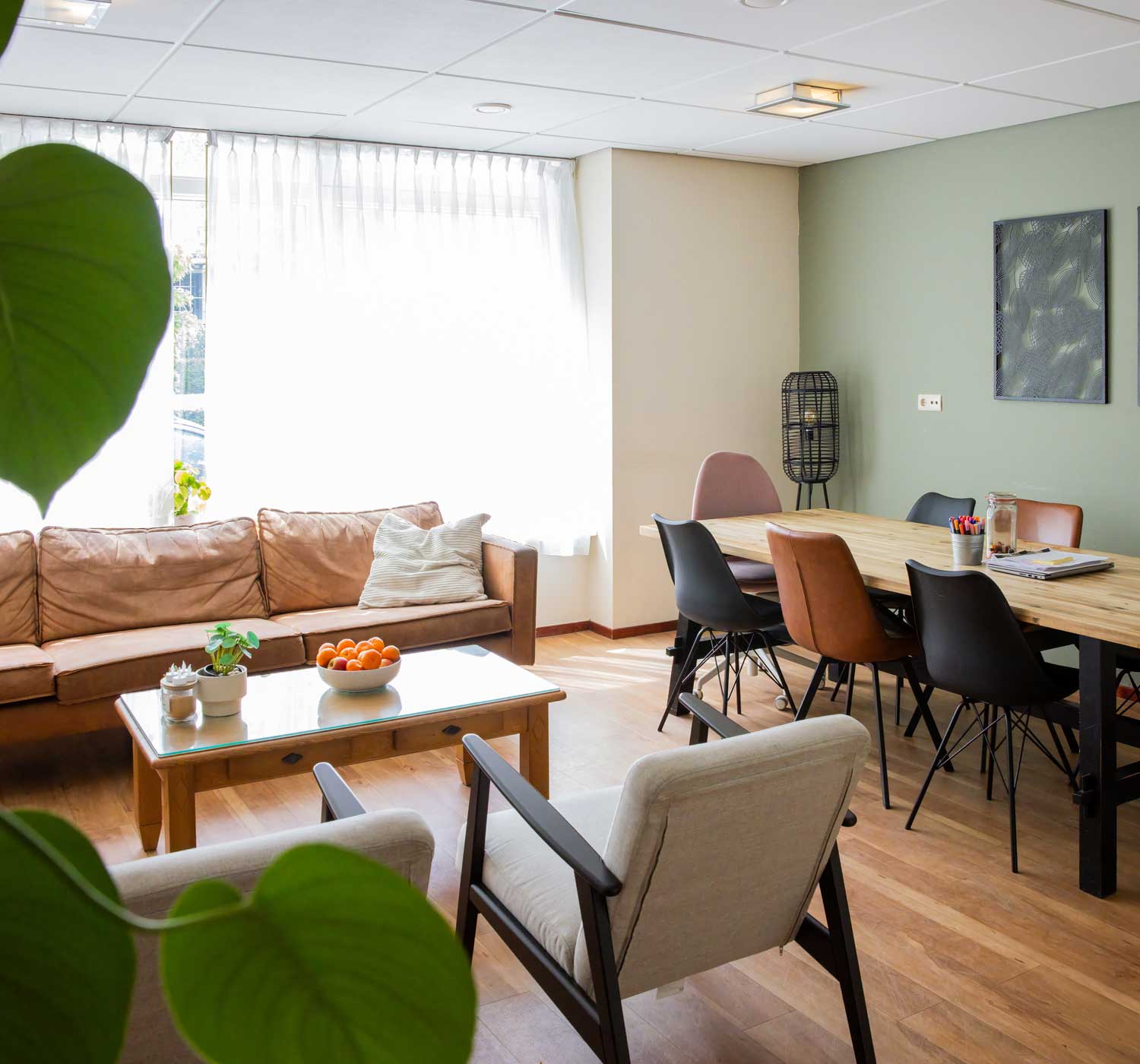begeleid wonen waalwijk brabant